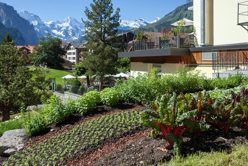 Hotel Schoenegg Wengen Exterior photo